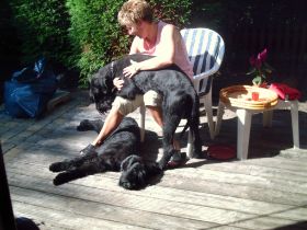 Ouddorp August 2007 054.jpg