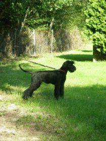 Foto Hav.-Cara 3.JPG